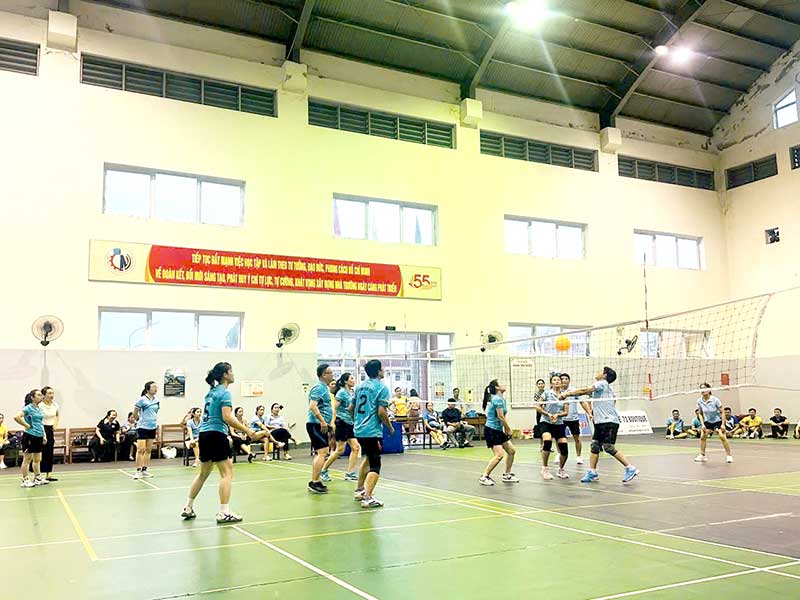 bch6